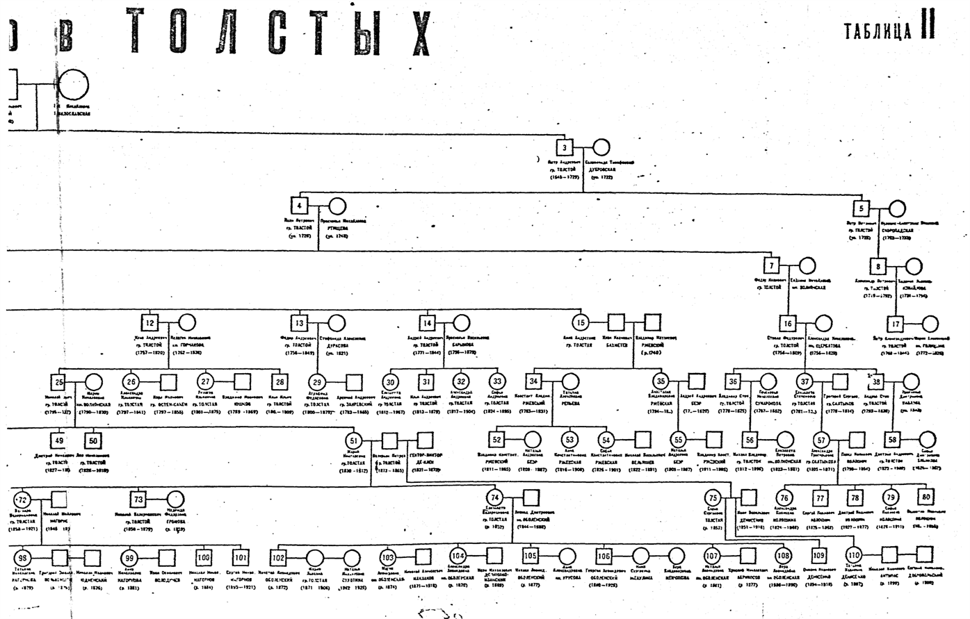 Род льва толстого. Родословное дерево толстого льва николаевича. Род льва толстого. Толстой генеалогическое древо. Герб графа толстых.